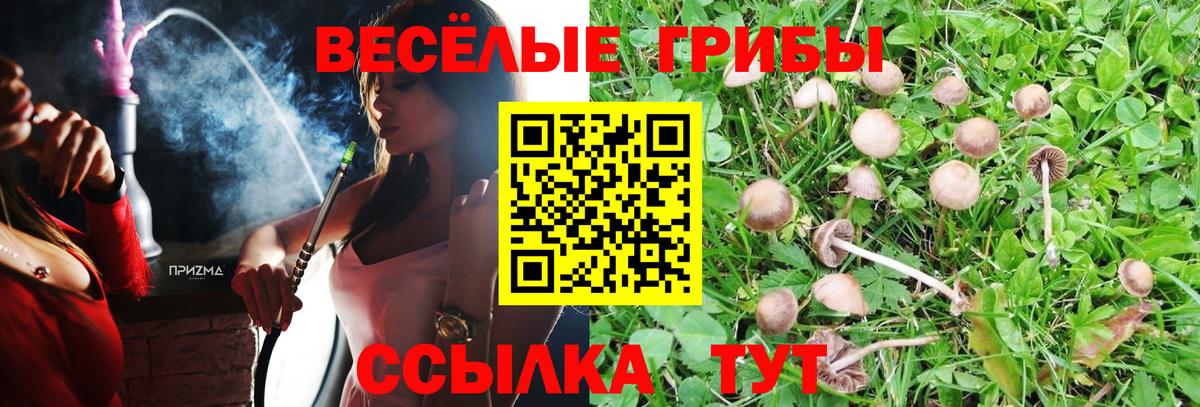 Жигулёвск  Псилоцибиновые грибы Cubensis  Вход с VPN 